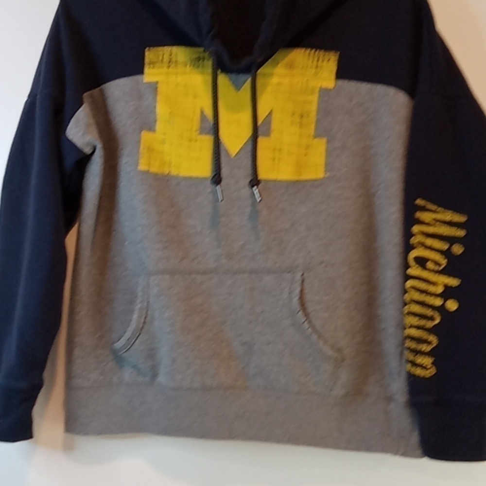 Colosseum Michigan Wolverines Funnel Neck Sweatshirt Men's Sz Med NICE! - Picture 3 of 16